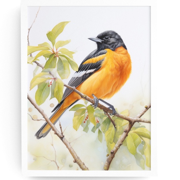 Creative Path Studios Other - Watercolor Baltimore Oriole Bird Print Unframed - Wall Art Bird Illustration